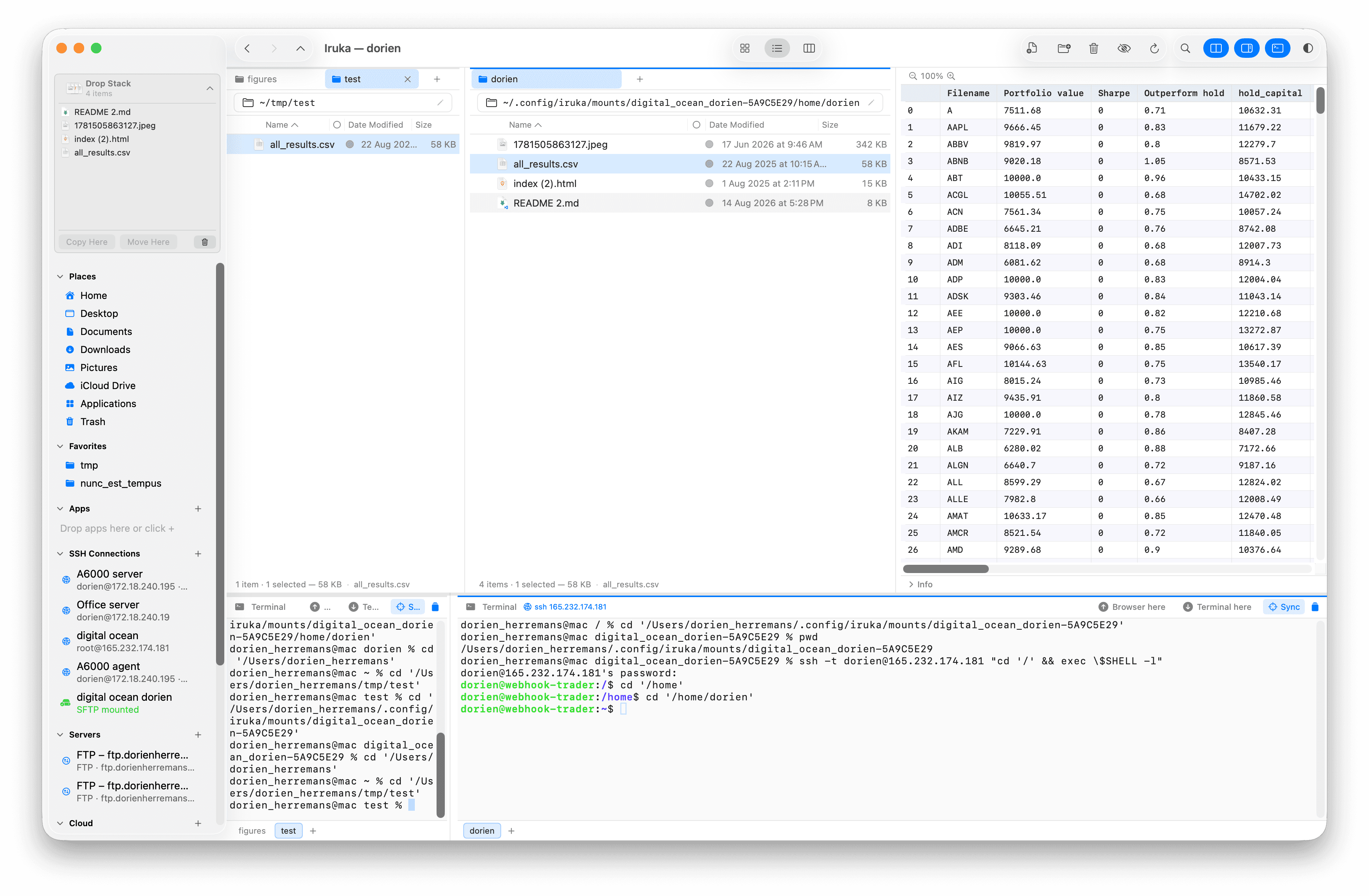 Iruka rendering a remote CSV file as a grid beside the file browser and an active SSH terminal